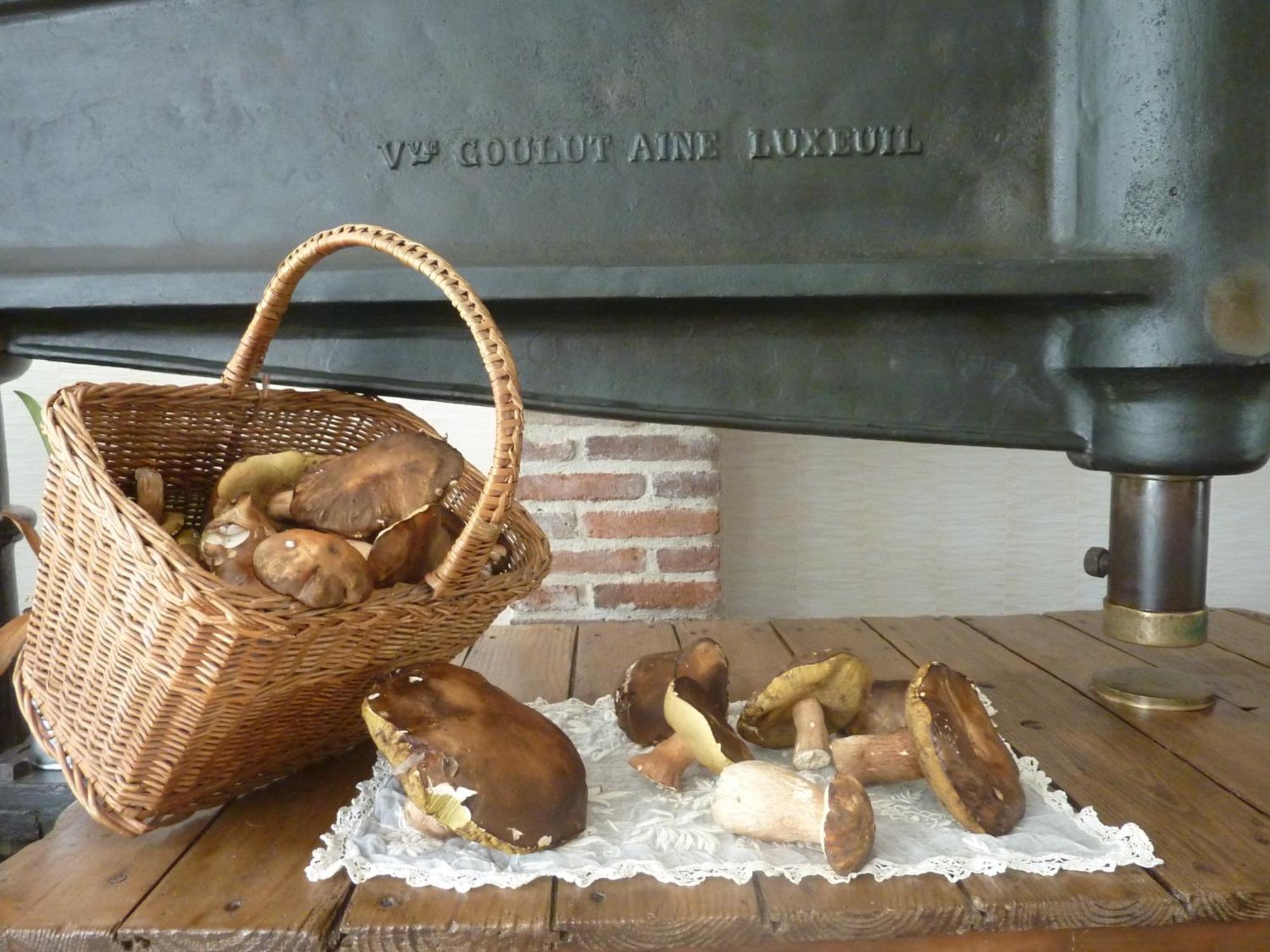 Domaine De La Tannerie Chambres D'Hotes Et Appartements Prades  Kültér fotó