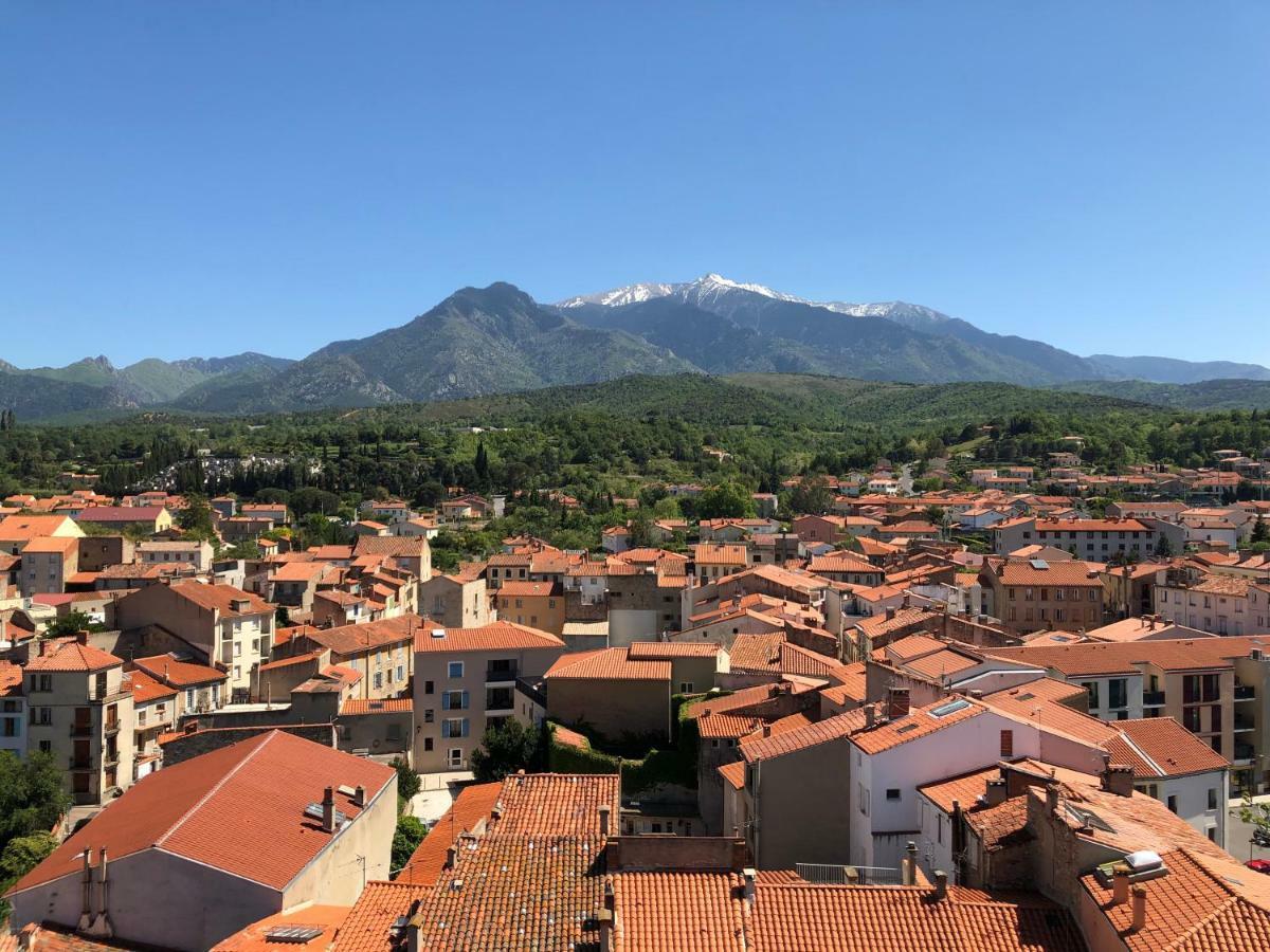 Domaine De La Tannerie Chambres D'Hotes Et Appartements Prades  Kültér fotó